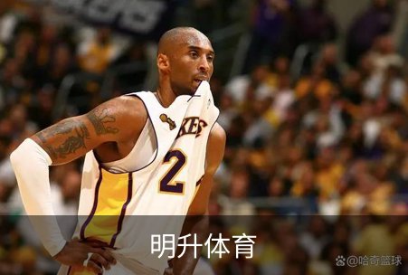关于明升体育