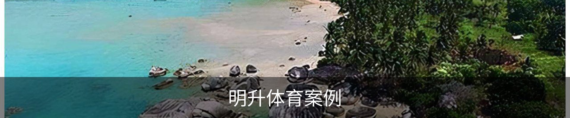 明升体育案例
